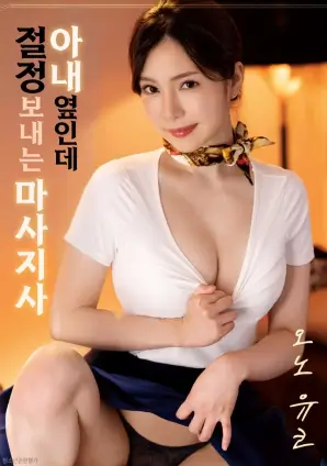 纸鸢与剑武侠国漫在线观看海报